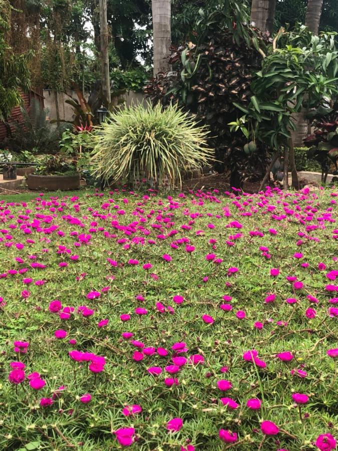 Mama Thea Homes Moshi Buitenkant foto