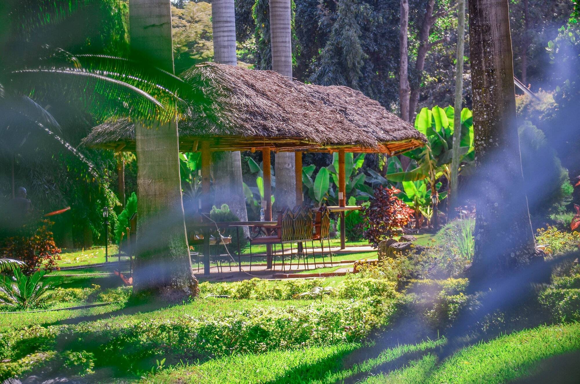 Mama Thea Homes Moshi Buitenkant foto